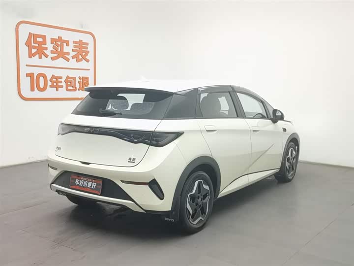 BYD Dolphin 2025 2025款 智驾版 420km 自由版