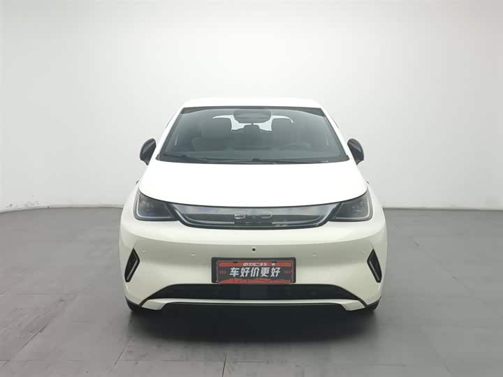BYD Dolphin 2025 2025款 智驾版 420km 自由版