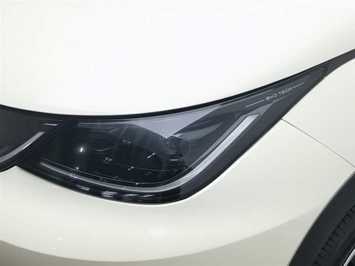 BYD Dolphin 2025 2025款 智驾版 420km 自由版