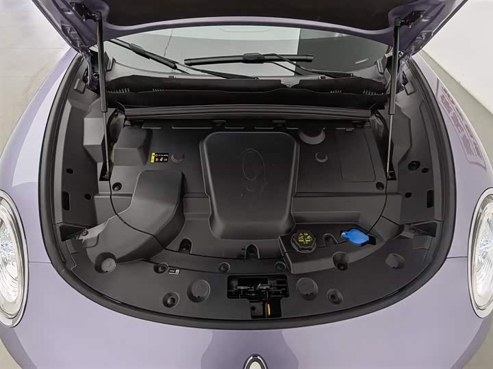 Ora Lightning Cat (07) 2022 2022款 555km 尊贵版