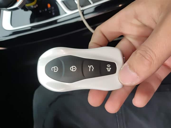 Geely Tugella S 2021 2021款 2.0TD 自动两驱闪电版