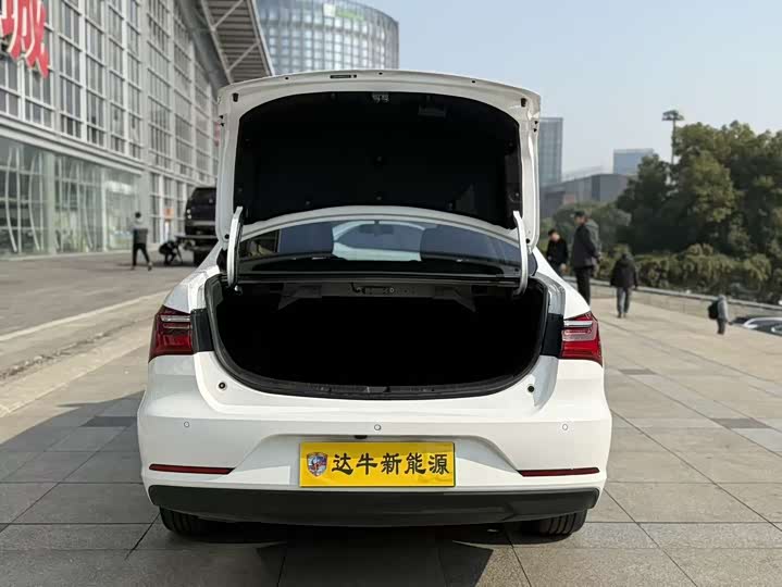 BYD Qin EV 2021 2021款 出行版