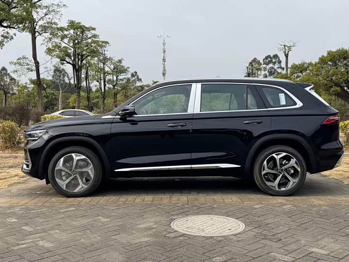 Geely Monjaro 2024 2024款 2.0TD DCT EVO两驱长风版