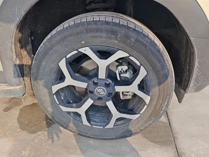 Jetour Shanhai T1 2025 2025款 150km 发现