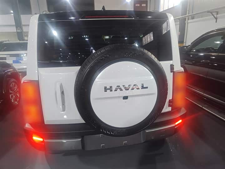 Haval Raptor Hybrid 2024 2024款 Hi4 102 Pro