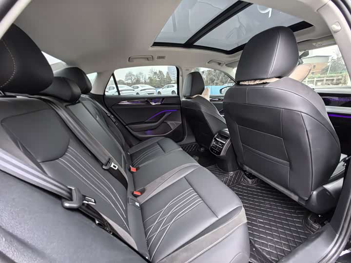 Volkswagen Magotan 2026 2026款 300TSI 尊享版显眼包