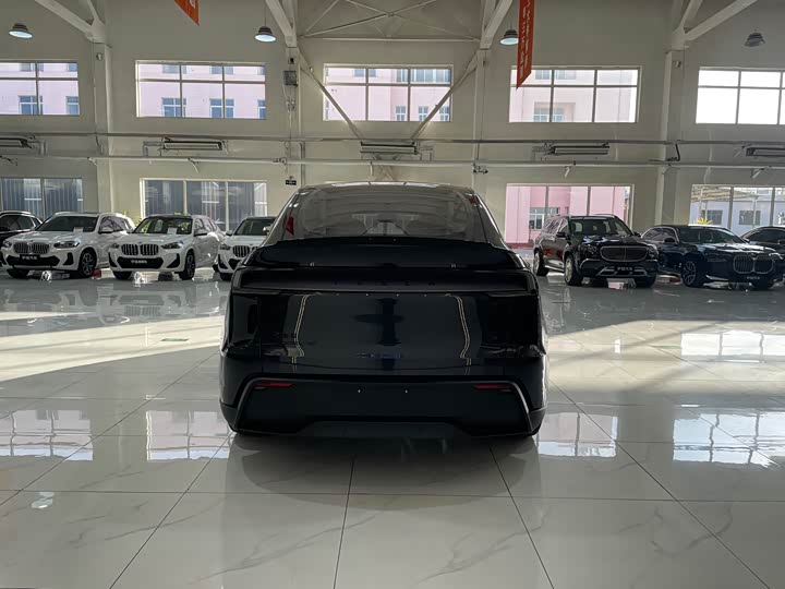 2025 Tesla Model Y