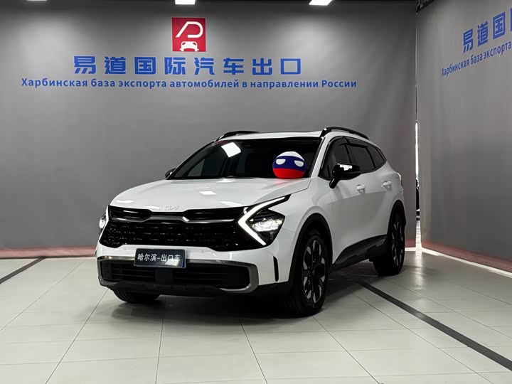 Kia Sportage 2023 2023款 2.0T 两驱尊贵版