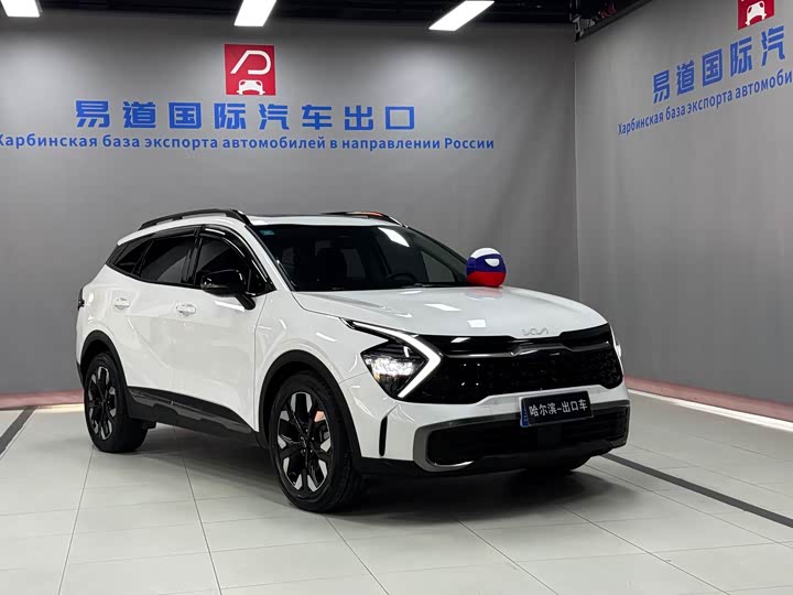 Kia Sportage 2023 2023款 2.0T 两驱尊贵版