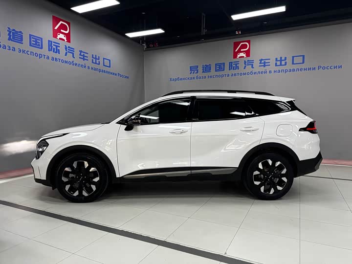 Kia Sportage 2023 2023款 2.0T 两驱尊贵版