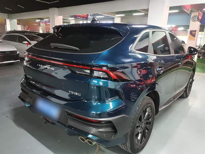 Dongfeng Forthing T5 EVO 2024 2024款 1.5TD DCT星空版