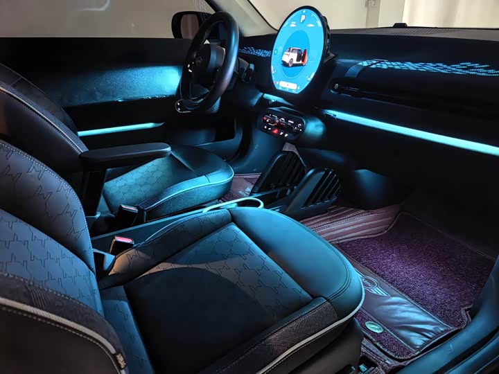 Mini Cooper 2024 2024款 452km COOPER SE 艺术家