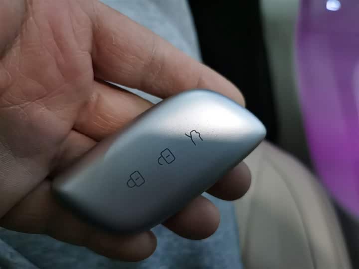 Dongfeng Forthing Xinghai S7 2024 2024款 650至尊版