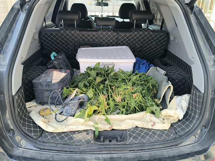 Chery Tiggo 8 2025 2025款 卓越版 230TCI 自动豪华版 5座