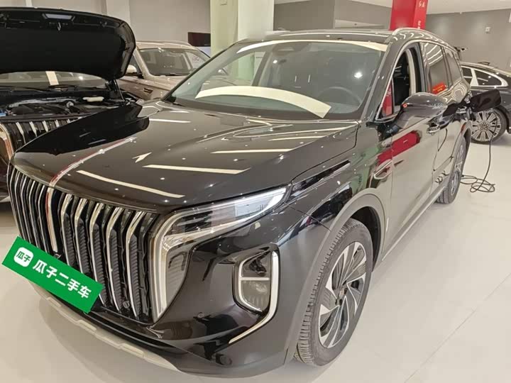 Hongqi HS7 Hybrid 2024 2024款 2.0T PHEV 四驱旗畅版 6座