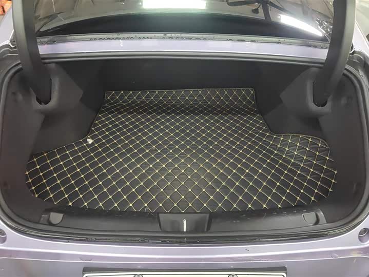 Ora Lightning Cat (07) 2022 2022款 555km 尊贵版