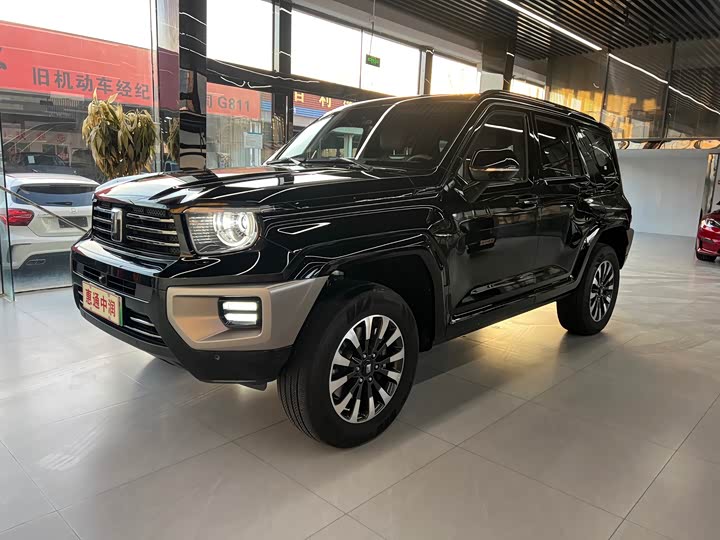 Tank 700 Hybrid 2024 2024款 Hi4-T 极境版