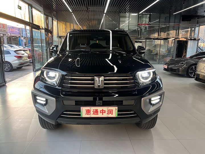 Tank 700 Hybrid 2024 2024款 Hi4-T 极境版