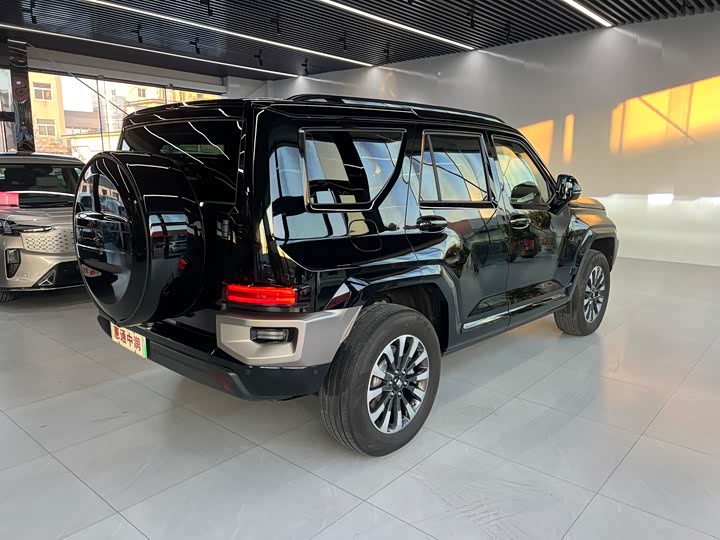 Tank 700 Hybrid 2024 2024款 Hi4-T 极境版