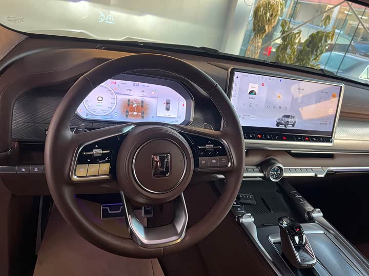 Tank 700 Hybrid 2024 2024款 Hi4-T 极境版