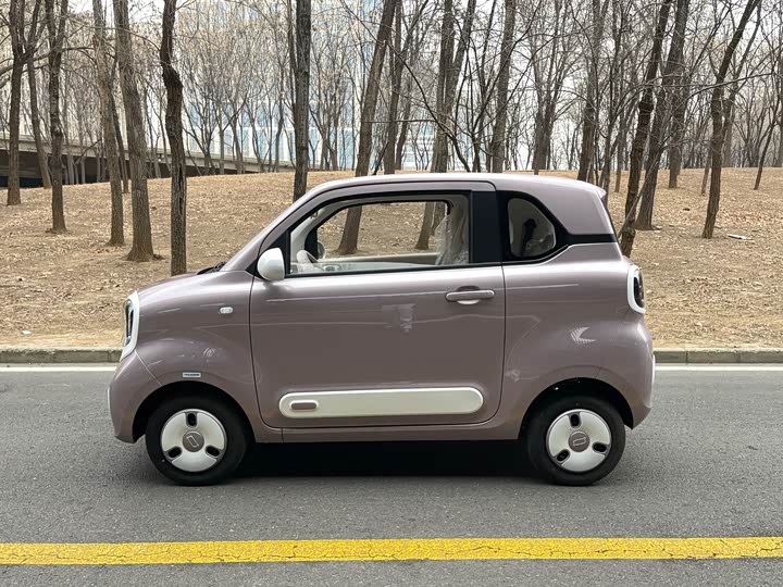 Bestune Pony 2026 2026款 222km 炫彩马