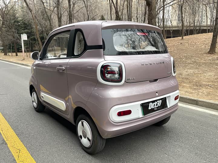 Bestune Pony 2026 2026款 222km 炫彩马