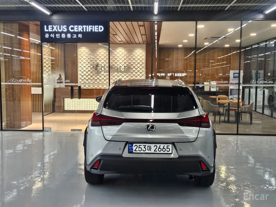 Lexus UX 2024 2.0 2WD