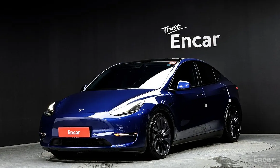 Tesla Model Y 2020 Performance