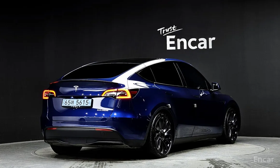 Tesla Model Y 2020 Performance