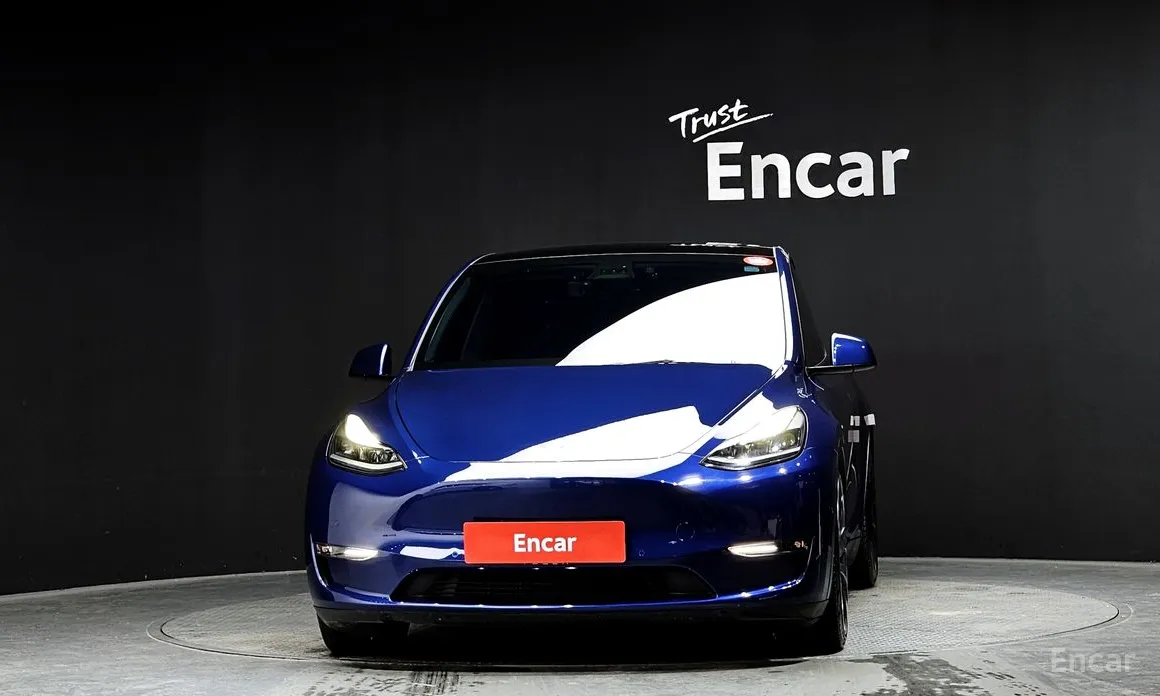 Tesla Model Y 2020 Performance