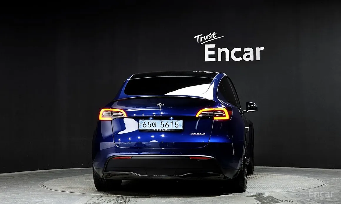 Tesla Model Y 2020 Performance