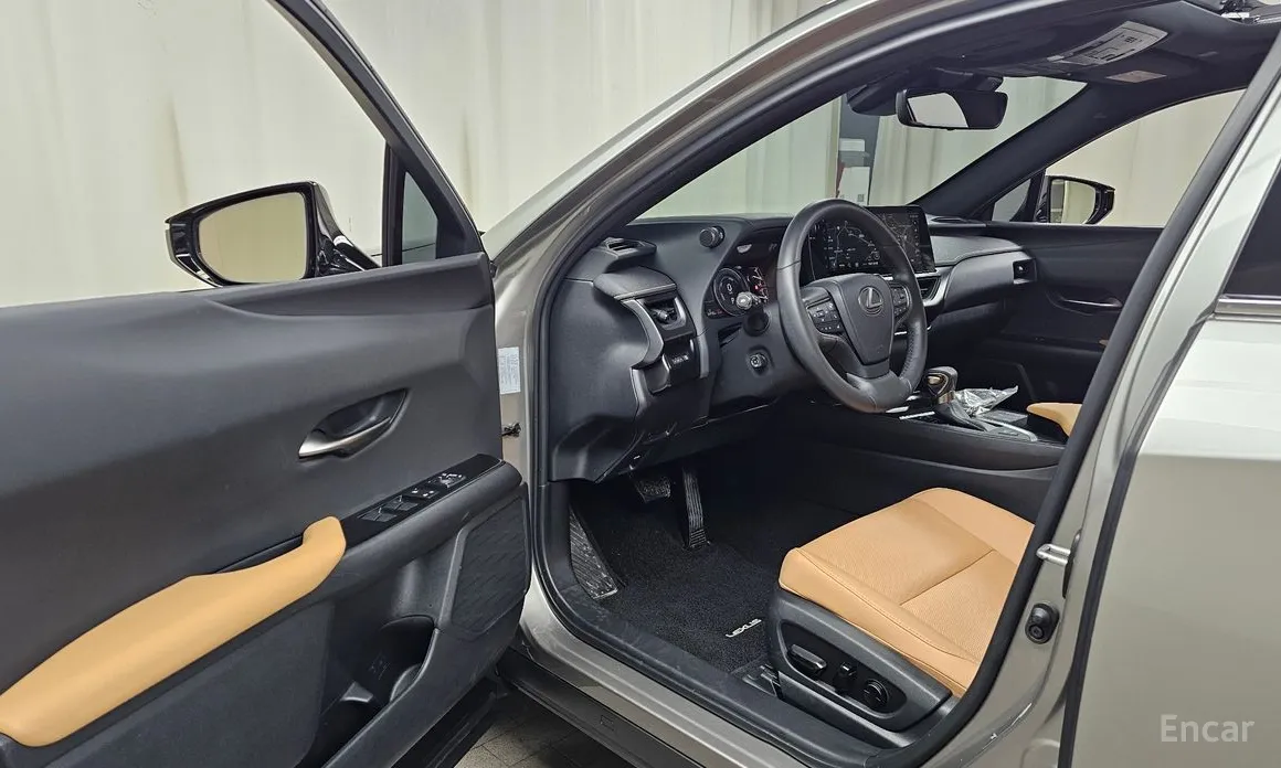 Lexus UX 2019 2.0 2WD