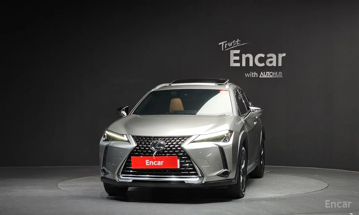 Lexus UX 2019 2.0 2WD