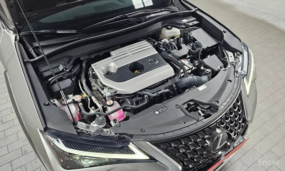 Lexus UX 2019 2.0 2WD