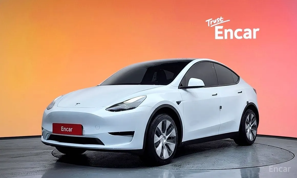 Tesla Model Y 2020 RWD