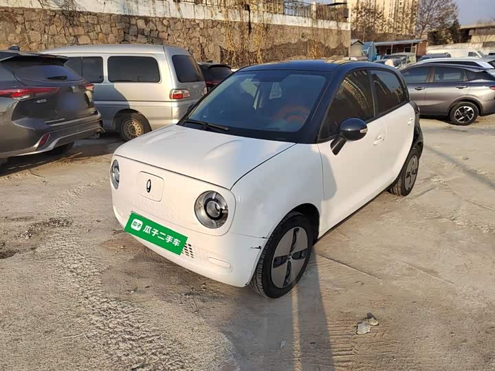 Ora Black Cat 2022 2022款 301km 萌动型 磷酸铁锂