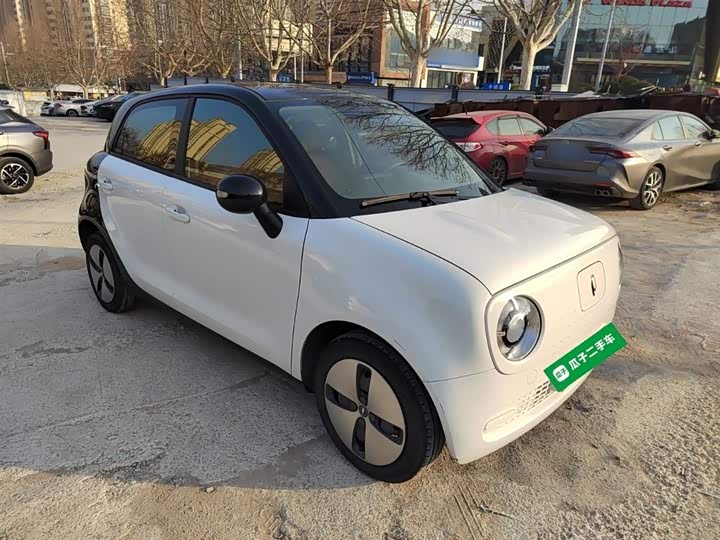 Ora Black Cat 2022 2022款 301km 萌动型 磷酸铁锂