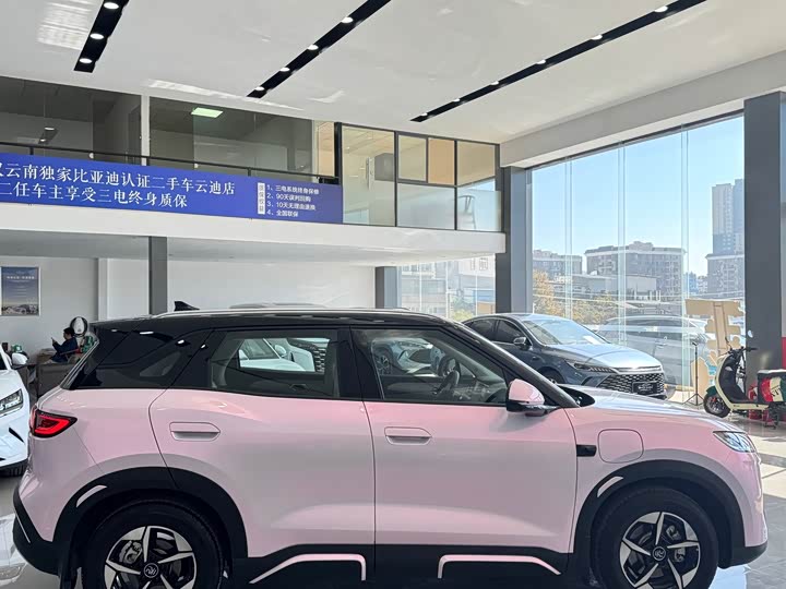 BYD Yuan Up 2025 2025款 智驾版 401KM 超越型