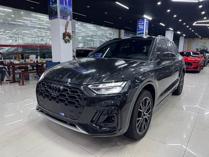 Audi Q5L 2025 2025款 45周年典藏版 40 TFSI 豪华动感型