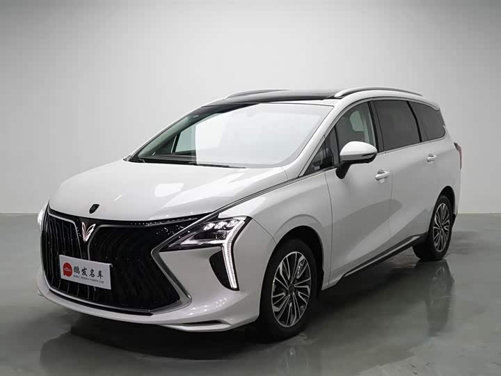 Dongfeng Forthing Yacht 2024 2024款 1.5T DCT 观海版