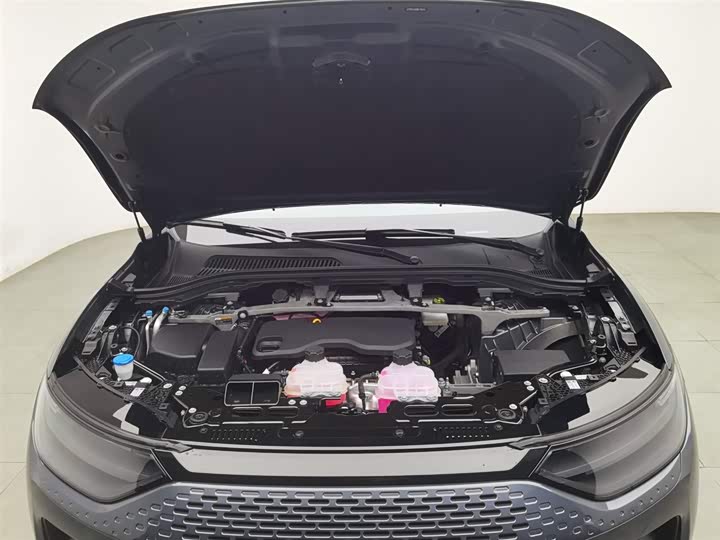 Leapmotor C11 2024 2024款 增程 300智享版