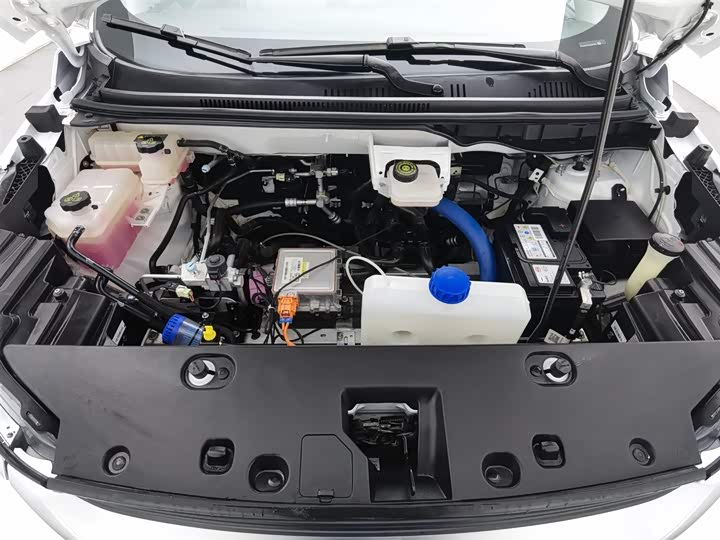 BYD Yuan Pro 2023 2023款 320KM豪华型