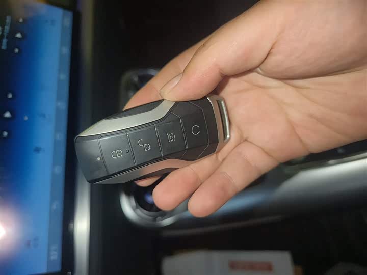 Denza X 2020 2020款 PHEV旗舰版