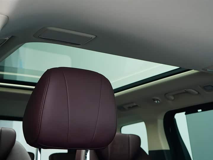 Hongqi HQ9 2023 2023款 2.0T 智联旗畅版