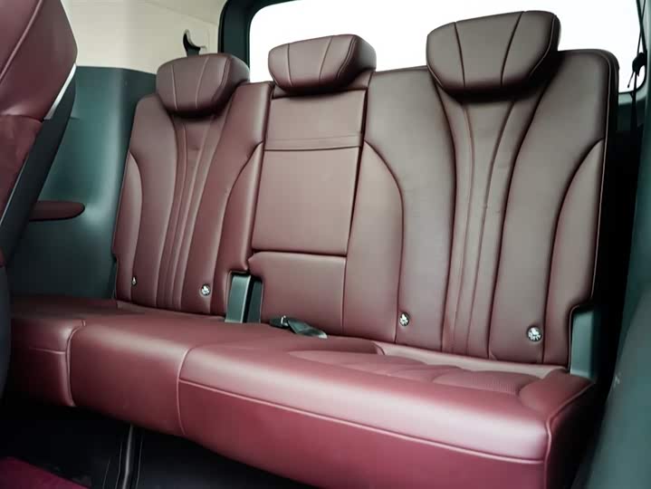 Hongqi HQ9 2023 2023款 2.0T 智联旗畅版