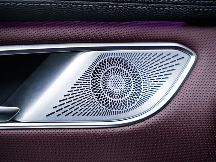 Hongqi HQ9 2023 2023款 2.0T 智联旗畅版