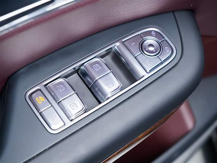 Hongqi HQ9 2023 2023款 2.0T 智联旗畅版