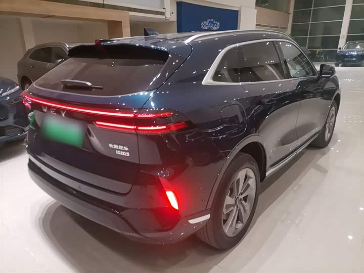 Wey Mocca Hybrid 2024 2024款 Hi4 四驱长续航版