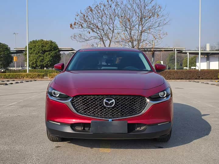 Mazda CX-30 2021 2021款 2.0L 自动质悦型