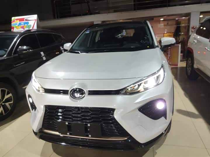 Toyota Wildlander 2024 2024款 2.0L CVT两驱豪华PLUS版